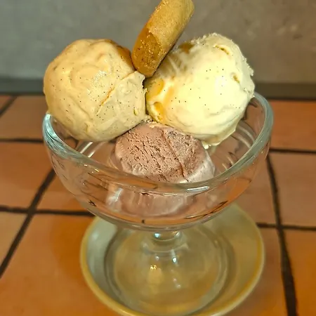 View 招待所 锡勒斯